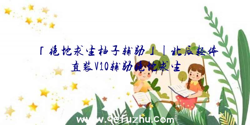 「绝地求生柚子辅助」|北辰轻体直装V10辅助绝地求生